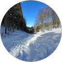 Riccardo L. profile picture